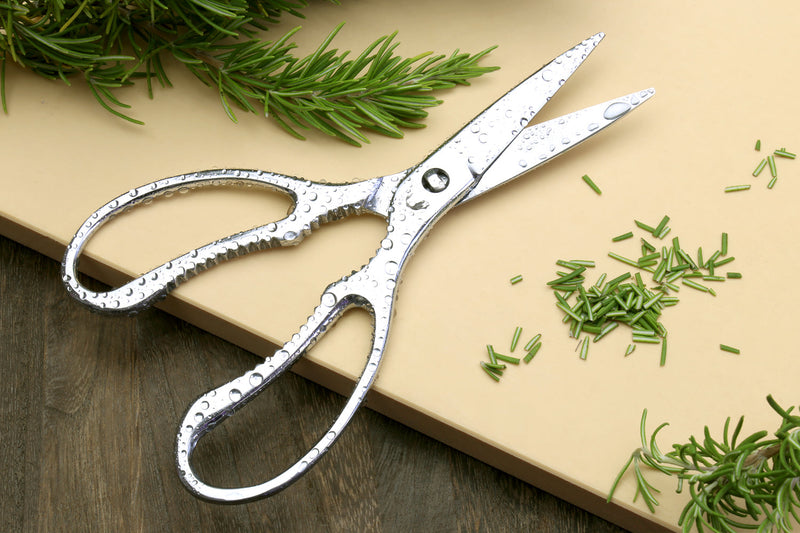 Scissors & Kiridashi