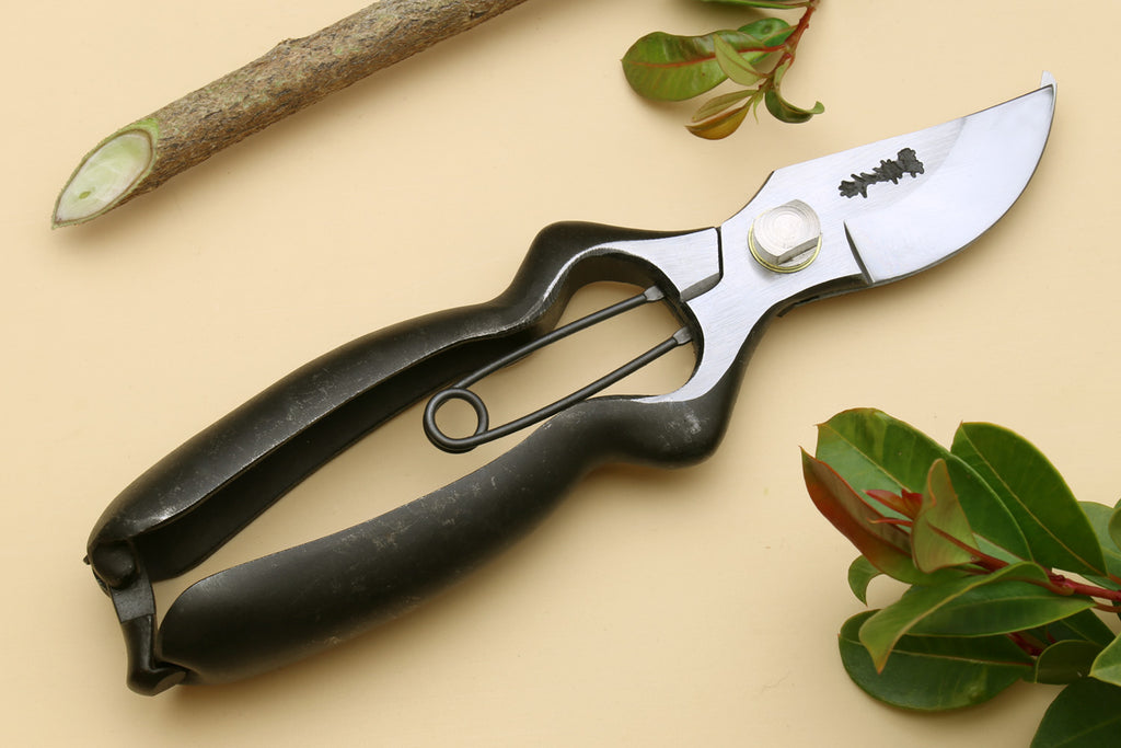 Black pruning shears with white blades and finger-loop handles