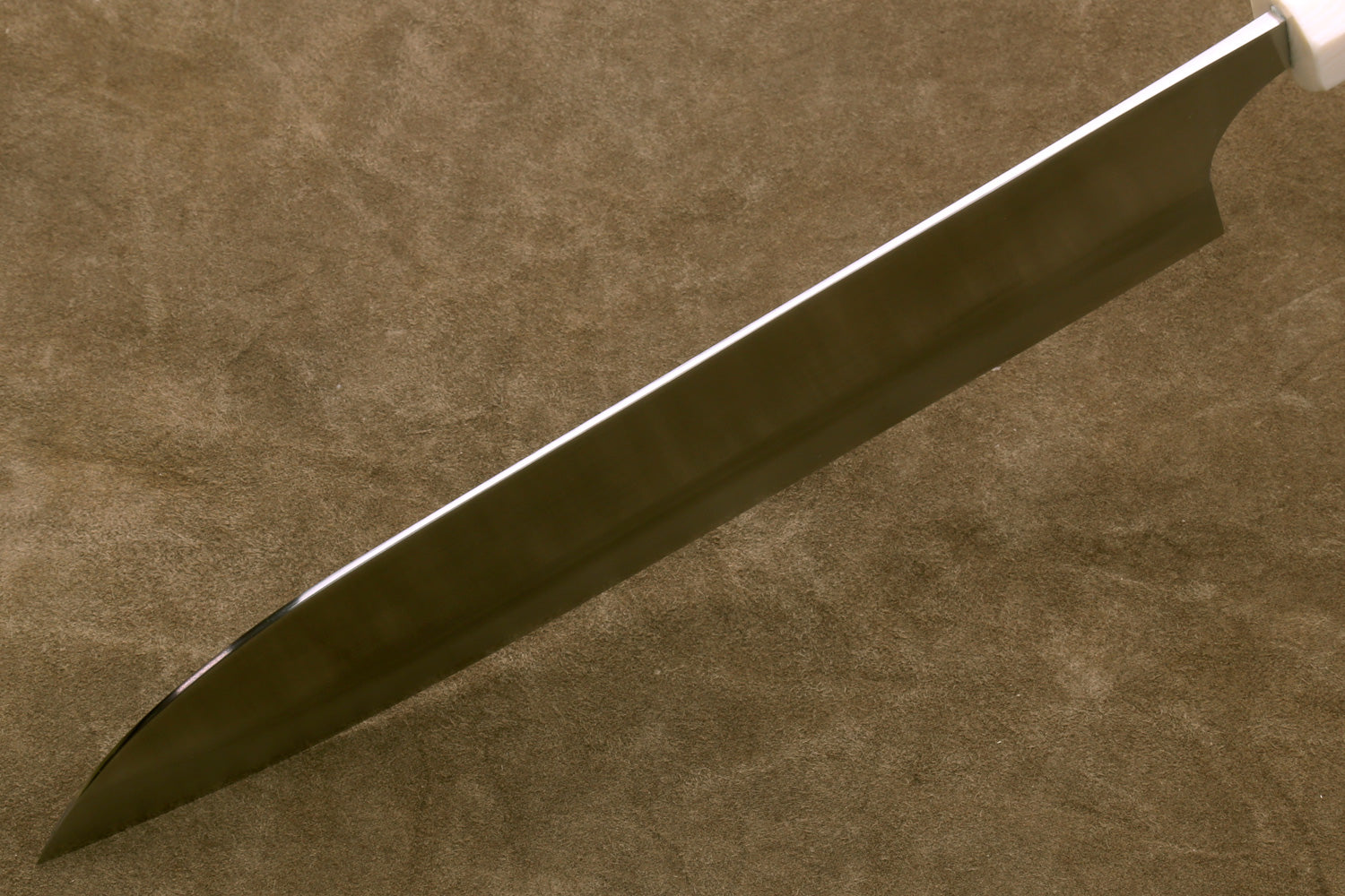 Gyuto chef knife side view, silver blade with smooth spine, ivory handle and bolster