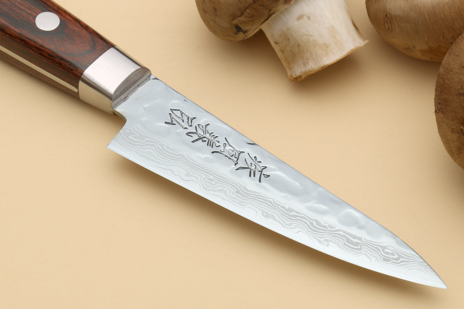 Paring knife close-up of hammered Damascus blade and dark brown wood handle