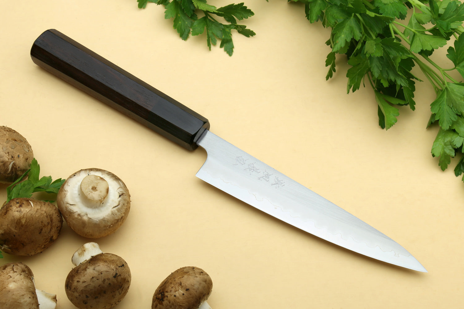 Stainless clad petty utility knife with light silver blade and dark handle