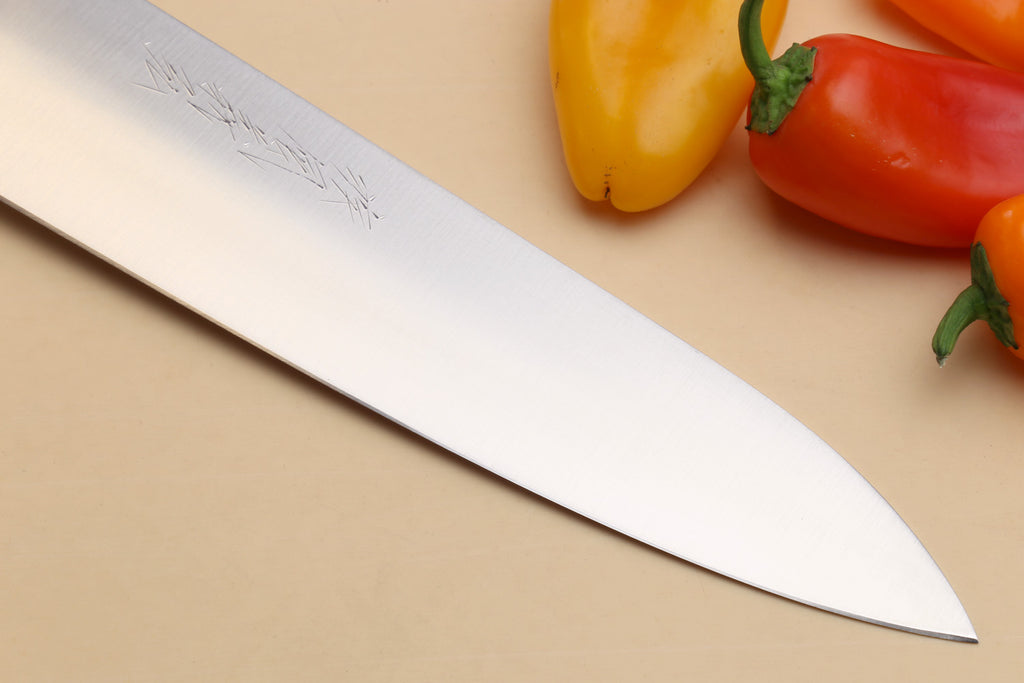 Double-edged deba fillet knife blade close-up, smooth silver face