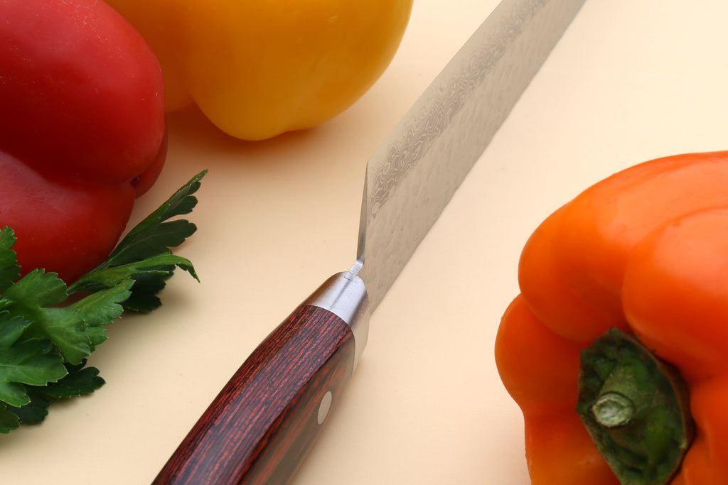 Gyuto chef knife handle close-up, dark wood scales and silver bolster