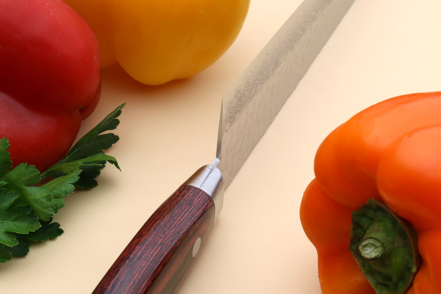 Gyuto chef knife handle close-up, dark wood scales and silver bolster