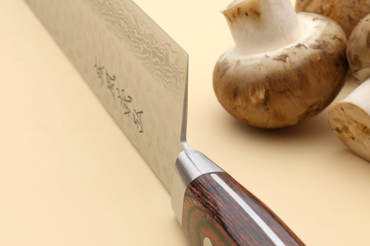 Kiritsuke knife close-up of Damascus blade and dark handle with riveted studs